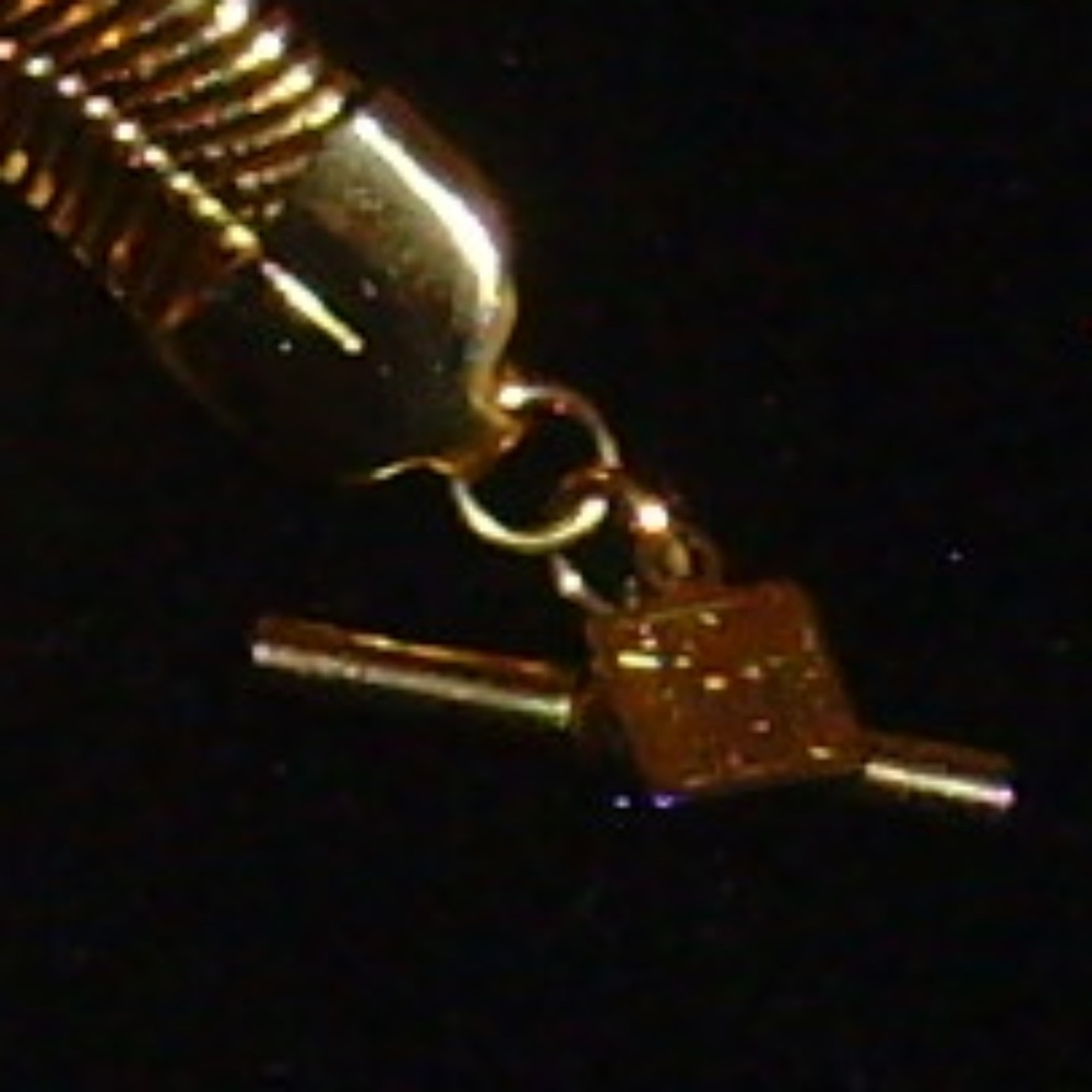 Anne Klein Gold-Tone Serpentine Chain Necklace - Picture 10 of 14